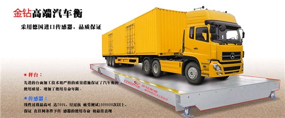 賽多利斯汽車衡 賽多利斯汽車衡