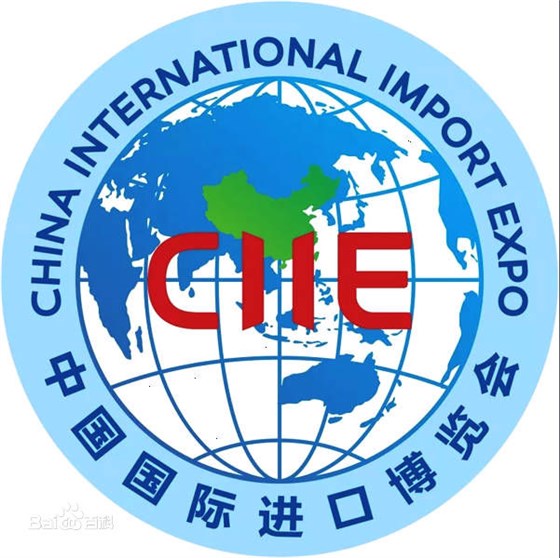 國際進口博覽會