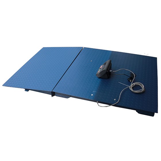 帶引坡電子地磅 帶引坡電子地磅