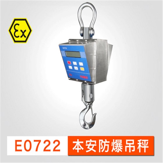 優(yōu)寶防爆E0722吊秤1 優(yōu)寶防爆E0722吊秤1