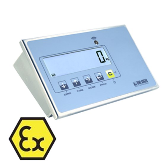 狄納喬防爆儀表 狄納喬防爆儀表