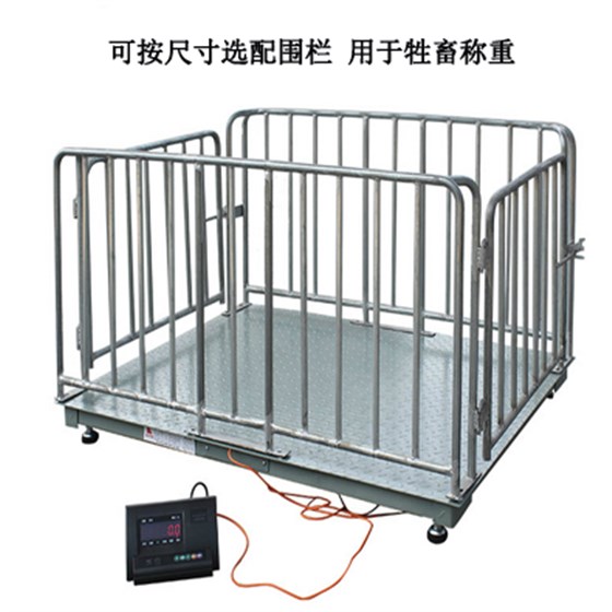 帶圍欄電子地磅 帶圍欄電子地磅