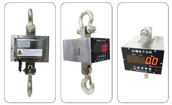 防爆電子吊秤11 防爆電子吊秤11