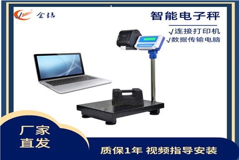 電子秤 打印數(shù)據(jù)傳輸電腦