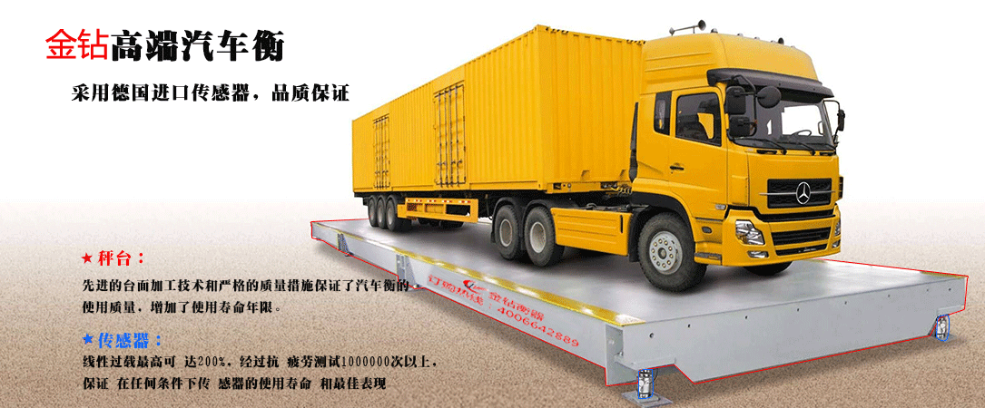 賽多利斯汽車(chē)衡