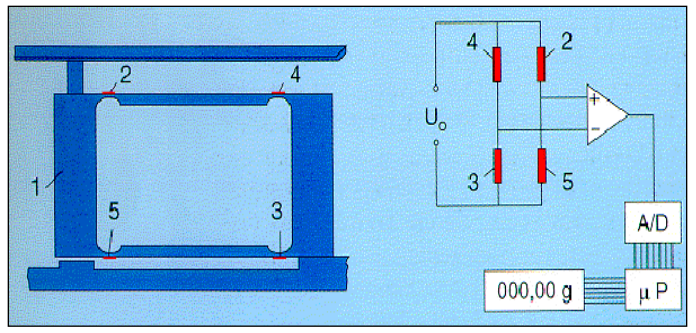賽多利斯應(yīng)變片式傳感器原理