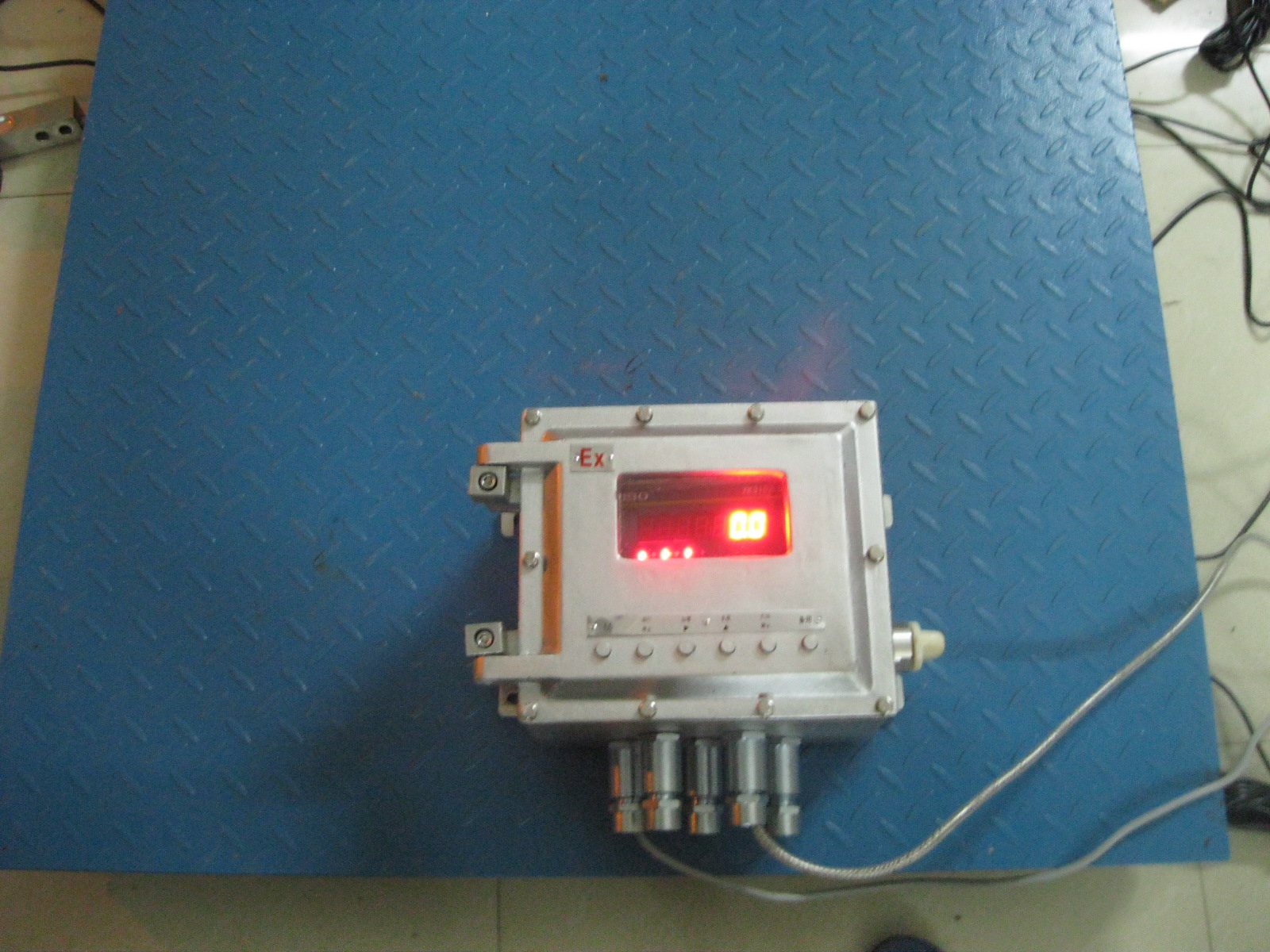 隔爆型電子地磅