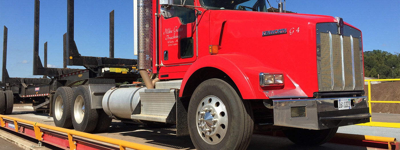 賽多利斯汽車衡安裝案例分享-蘇州金鉆