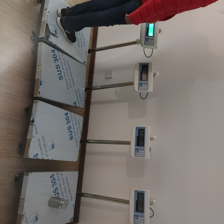 金搏仕報(bào)警臺(tái)秤