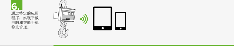 電子吊秤無線傳輸 (3)