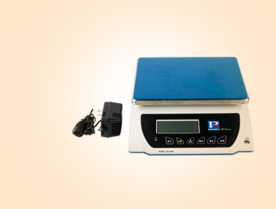 普瑞遜JS-03E電子計重秤