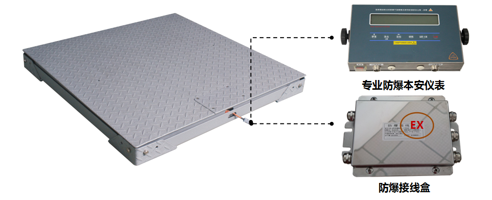 防爆碳鋼地磅