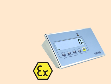 狄納喬 防爆稱(chēng)重顯示器DFWLKI3GD