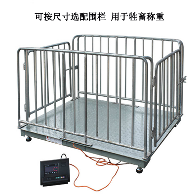 帶圍欄電子地磅