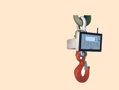 電子吊秤 無線物聯(lián)網(wǎng) 數(shù)據(jù)傳輸電腦/手機(jī)